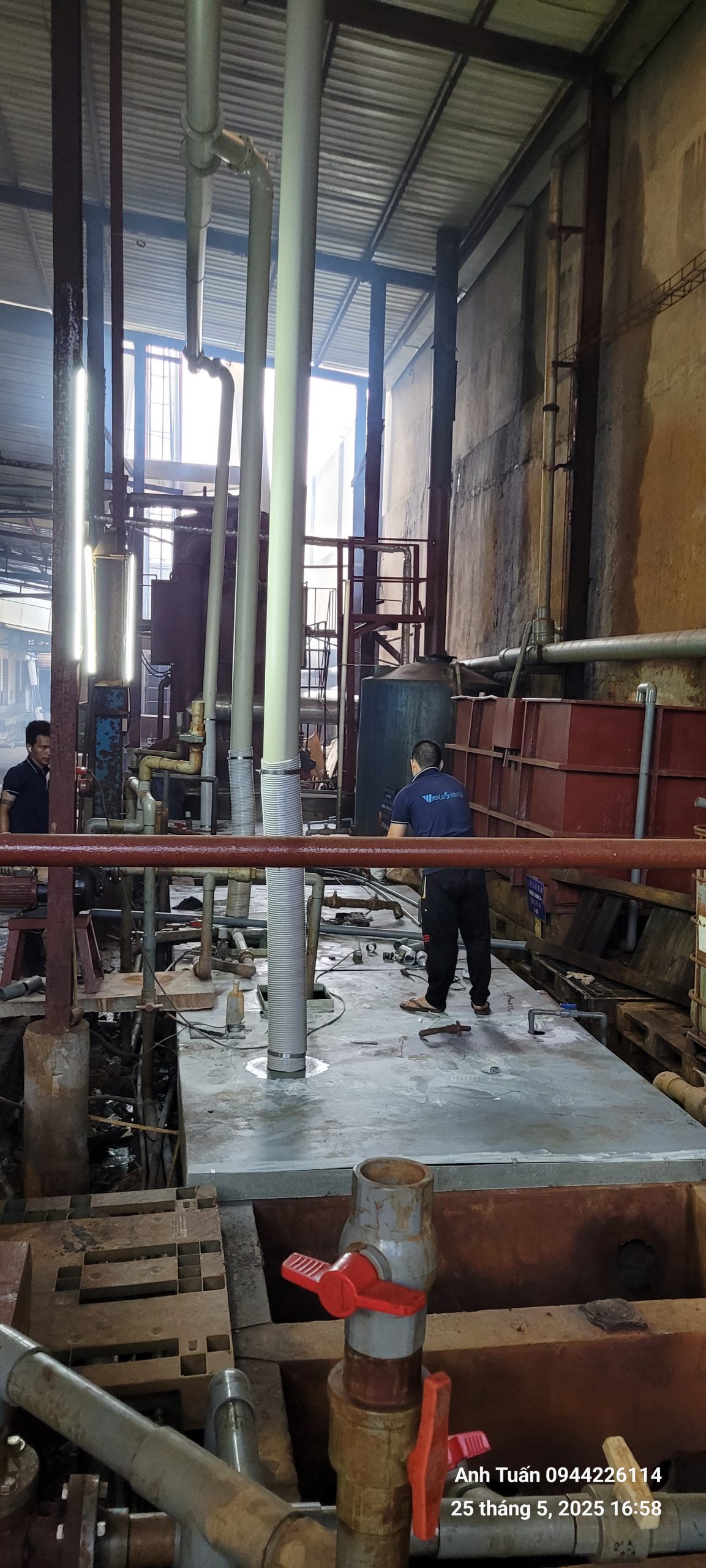 Bon Coposite B003 04